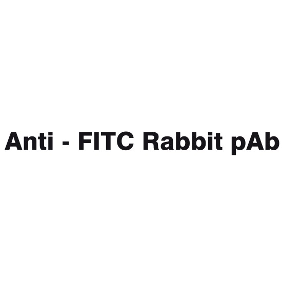 Anti - FITC Rabbit pAb