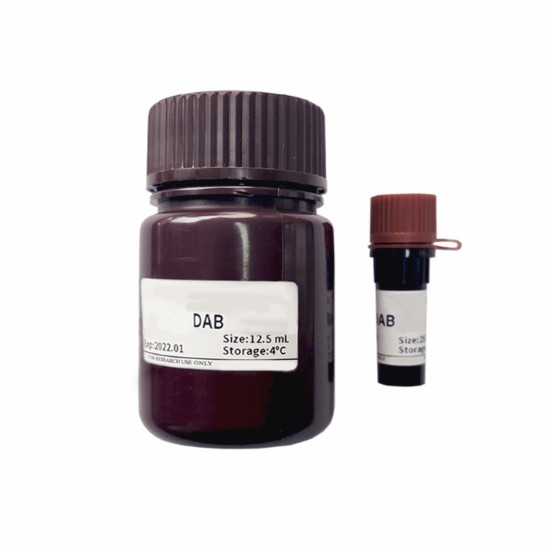 DAB Chromogenic Kit