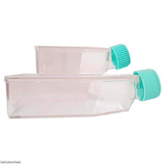 Non-Vented Cell Culture Flasks (T25) - Laboratory Tissue Culture Vessel for Cell Growth - pack of 200