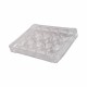 Cell Culture Plates, DNase & RNase free, Sterile - pack of 80