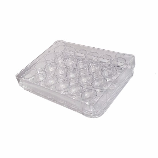 Cell Culture Plates, DNase & RNase free, Sterile - pack of 80