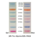 Prestained Protein Marker (10 - 250 kDa)