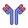 Monoclonal Antibodies