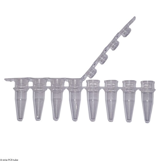 Transparent Sterile 8-srip PCR Tubes with Flat Covers - DNase & RNase Free - pack of 125