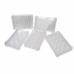 Cell Culture Plates, DNase & RNase free, Sterile - pack of 80