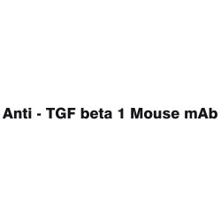 Anti - TGF beta 1 Mouse mAb