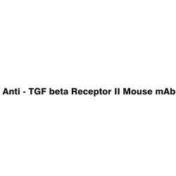 Anti - TGF beta Receptor II Mouse mAb