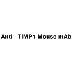 Anti - TIMP1 Mouse mAb