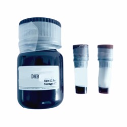 Immunohistochemistry Kit (Anti - Mouse)