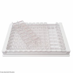 96 Well, 12-Strip Detachable Elisa Plate (DNase & RNase free, Sterile ) - pack of 10