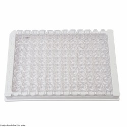 96 Well, 12-Strip Detachable Elisa Plate (DNase & RNase free, Sterile ) - pack of 10